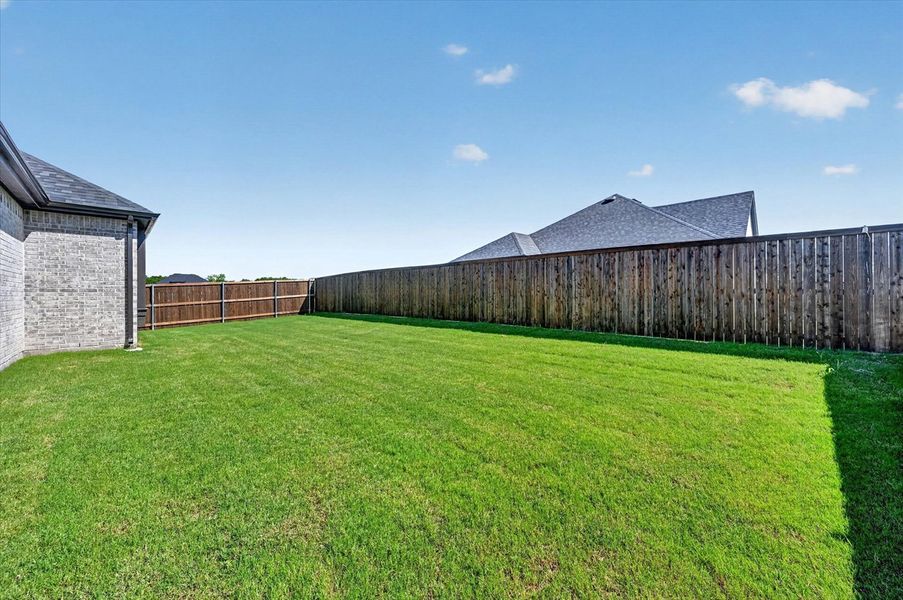 Backyard Backyard