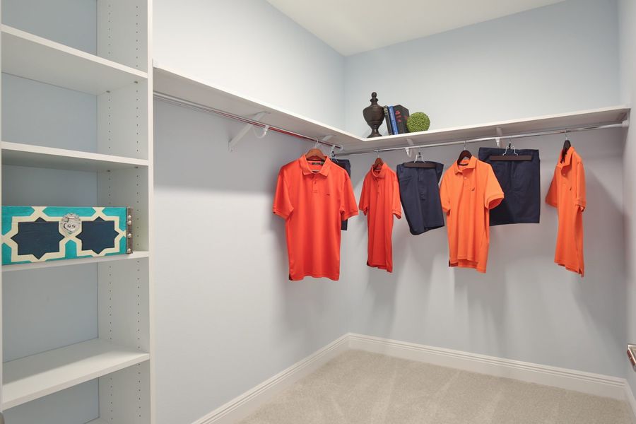 Image 89 representing the Artistry by Neal Communities in Palm Grove, Bradenton, FL.