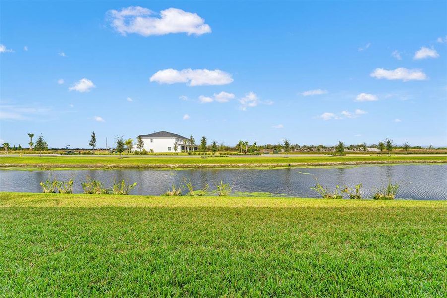 Natural landscape and outdoor views near  in Bradenton (Image 41).