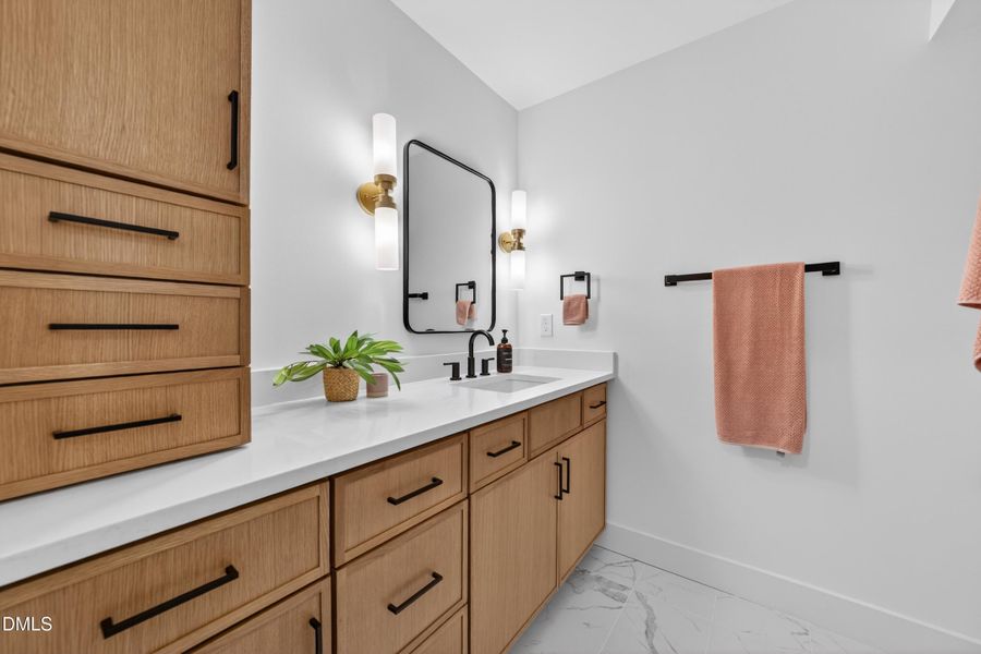 Lower Level Guest Bath