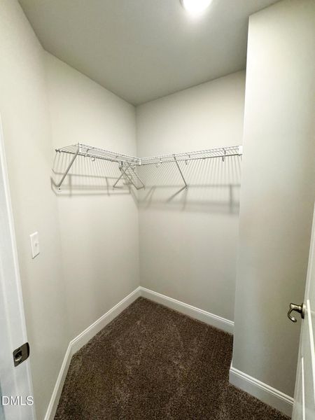 IMG_5833 2 IMG_5833 2