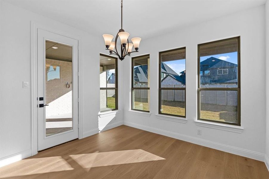 DAL_Painted Tree_Mineola_3917 Cathedral Lane (16)