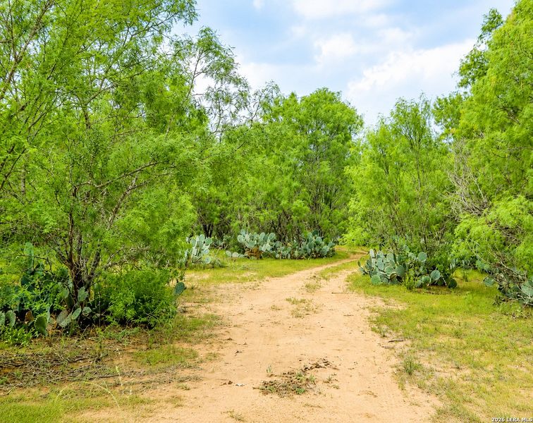 Natural landscape and outdoor views near  in Devine (Image 24).