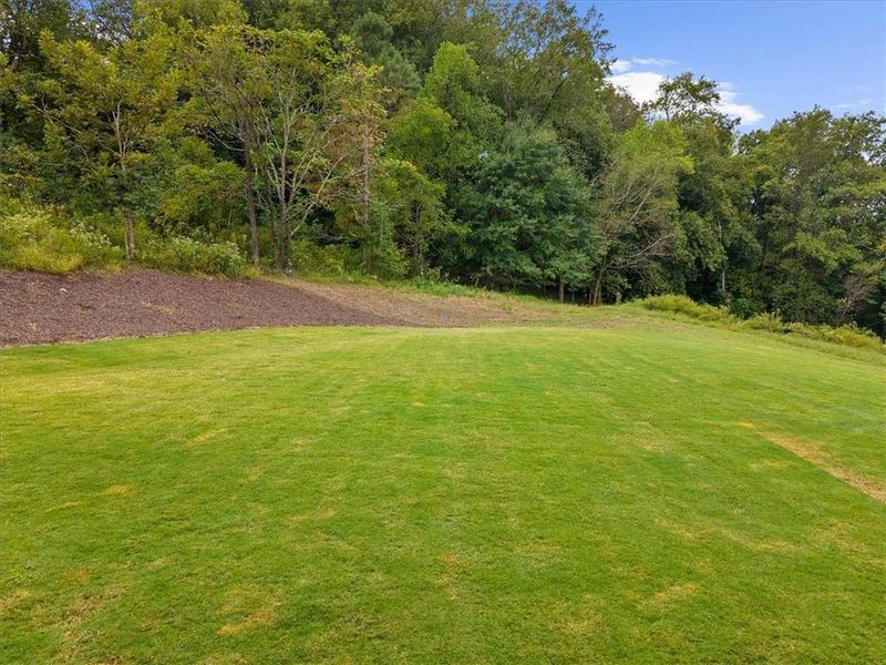Natural landscape and outdoor views near  in Canton (Image 91).