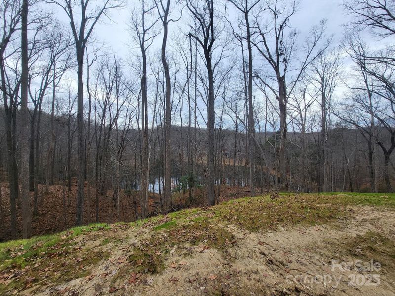 Natural landscape and outdoor views near  in Travelers Rest (Image 12).
