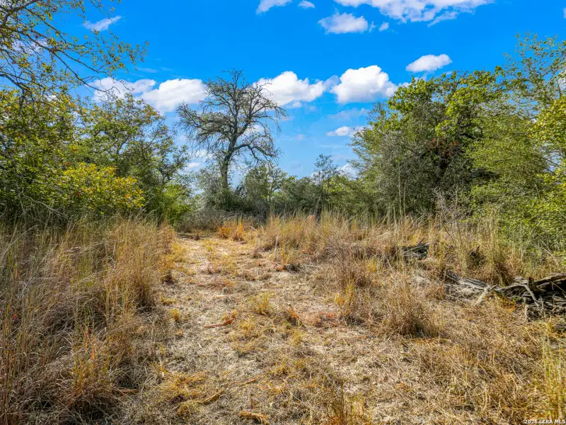Natural landscape and outdoor views near  in Seguin (Image 29).