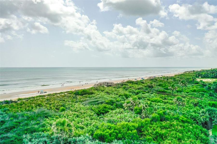 Natural landscape and outdoor views near  in Palm Coast (Image 21).