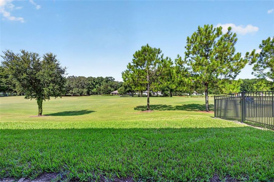 Natural landscape and outdoor views near in Ocala (Image 85). Natural landscape and outdoor views near in Ocala (Image 85).