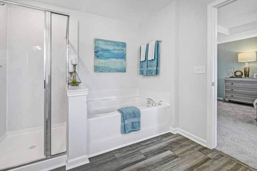 Furnished interior view inside a new home in Central Creek, Goose Creek (Image 17).