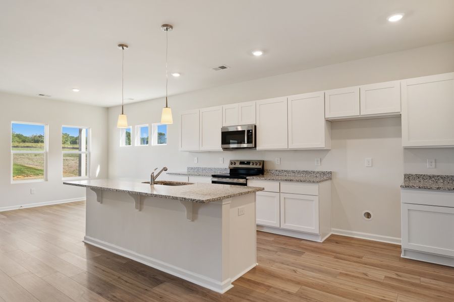 Furnished interior view inside a new home in Radley Place, Chesnee (Image 9).