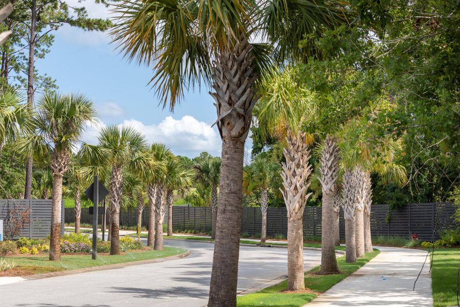 Front exterior of a new home in Liberty Hill Farm, Mount Pleasant, SC, highlighting curb appeal (Image 23). Front exterior of a new home in Liberty Hill Farm, Mount Pleasant, SC, highlighting curb appeal (Image 23).