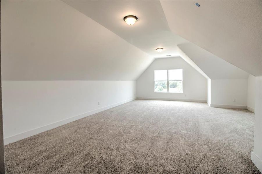 Additional living space featuring carpet flooring and lofted ceiling Additional living space featuring carpet flooring and lofted ceiling