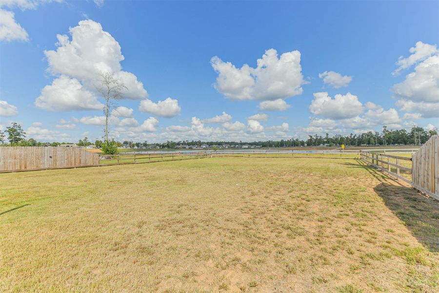 Backyard - Facing 19 Acre Pond Backyard - Facing 19 Acre Pond