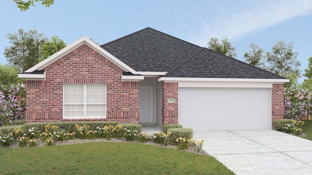 Elevation M Elevation M