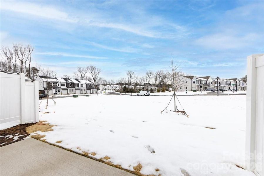 Community Greenspace behind home (well snow covered) Community Greenspace behind home (well snow covered)