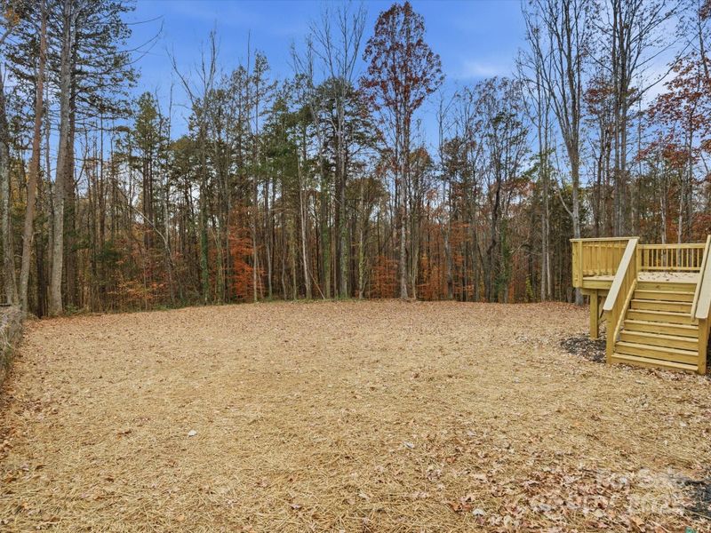 Natural landscape and outdoor views near  in Mooresville (Image 39).