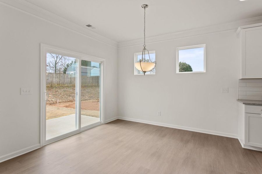 Spacious, unfurnished interior of a new home in Bellevue, Greenville (Image 19).