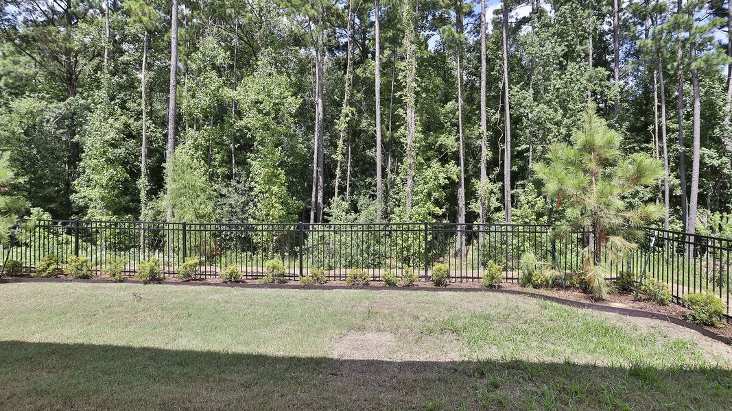 Natural landscape and outdoor views near Audubon in Magnolia (Image 18). Natural landscape and outdoor views near Audubon in Magnolia (Image 18).