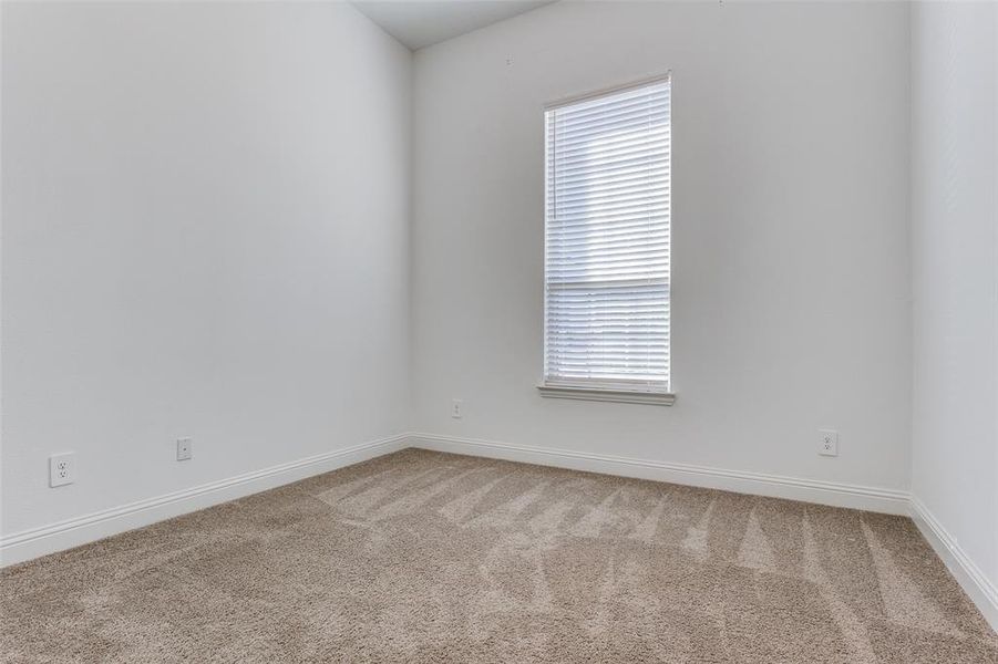 Secondary bedroom with carpet and lots of natural light