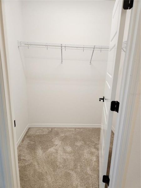 Walk-in Closet(Master)