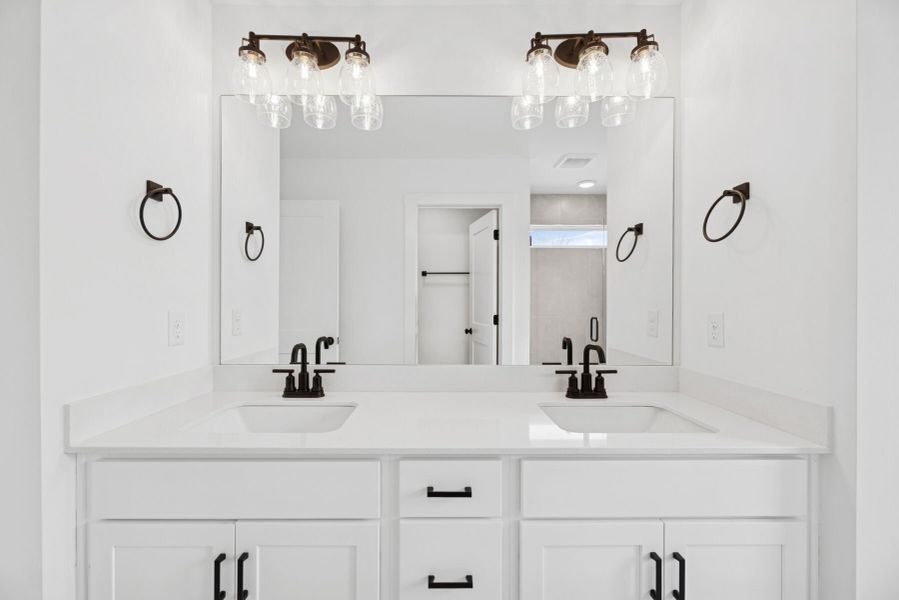 Owner's Bathroom