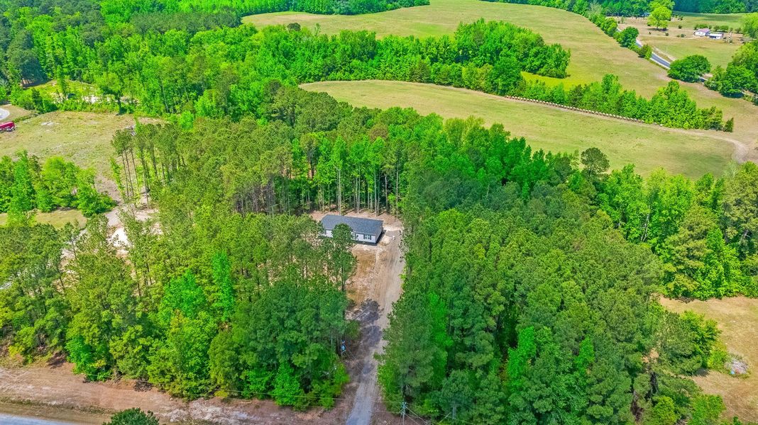 Natural landscape and outdoor views near  in Cottageville (Image 33).