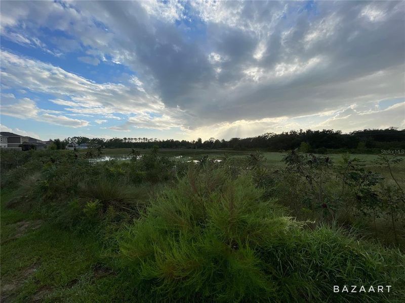 Image 15 of a home in Preservation Pointe.