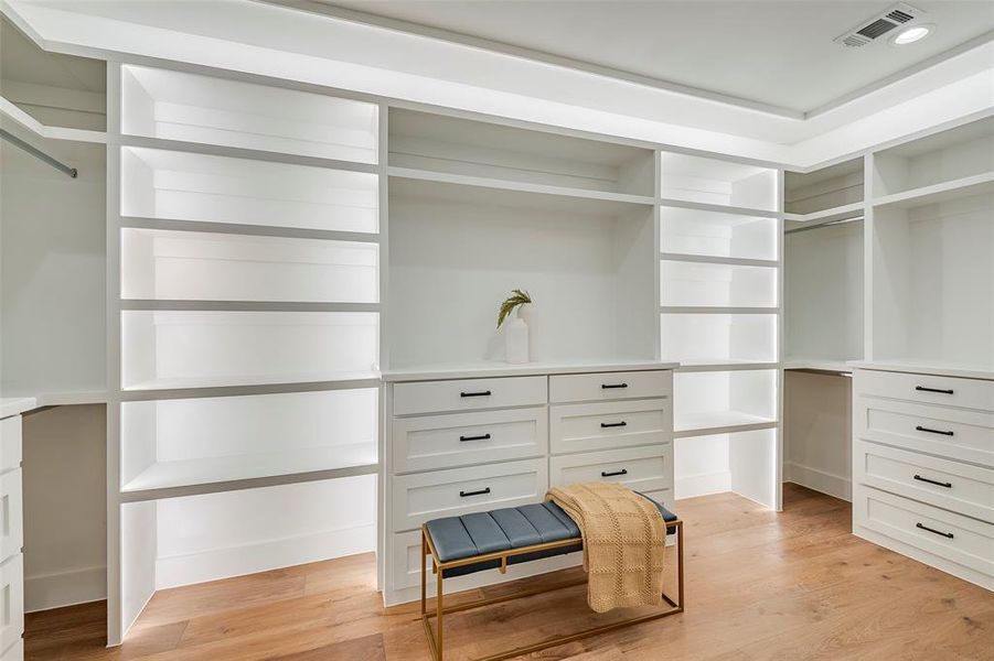 Spacious closet with light wood-type flooring and great lighting.