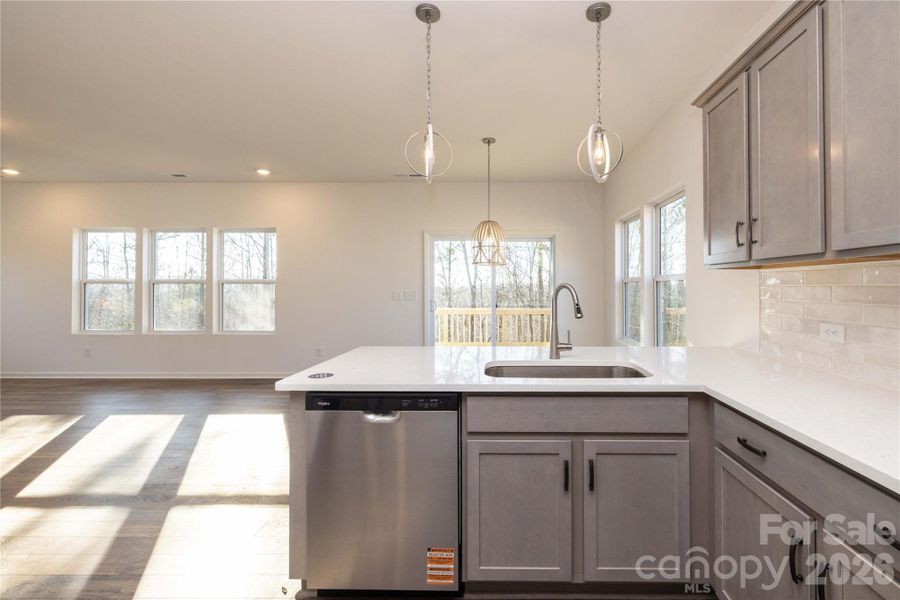 Furnished interior view inside a new home in Grandview, Albemarle (Image 12).