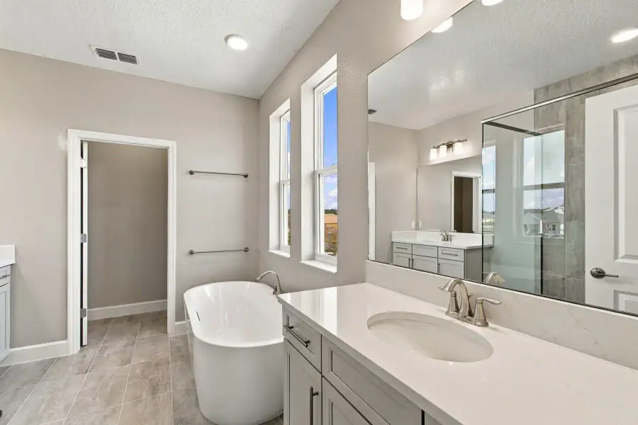 Owner's Bathroom