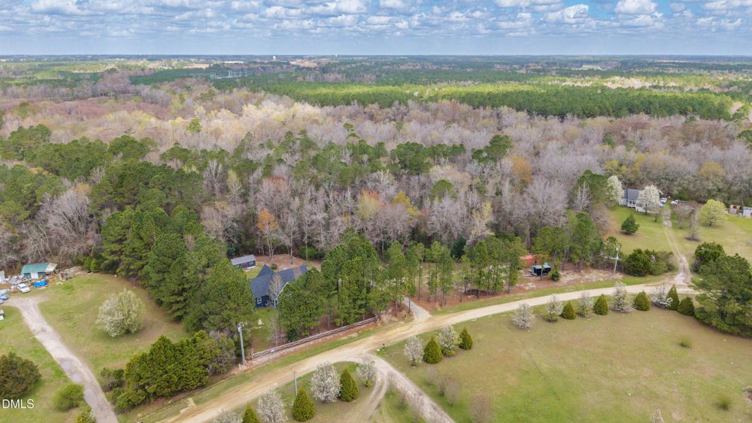 54-DJI_20260315234945_0081_D-HDR 54-DJI_20260315234945_0081_D-HDR