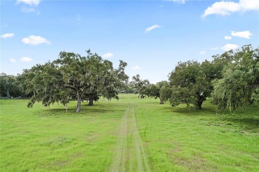 Natural landscape and outdoor views near in Dade City (Image 3). Natural landscape and outdoor views near in Dade City (Image 3).