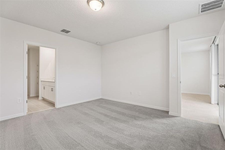 Spacious, unfurnished interior of a new home in Hamilton Bluff - Classic Series, Lake Hamilton (Image 36). Spacious, unfurnished interior of a new home in Hamilton Bluff - Classic Series, Lake Hamilton (Image 36).