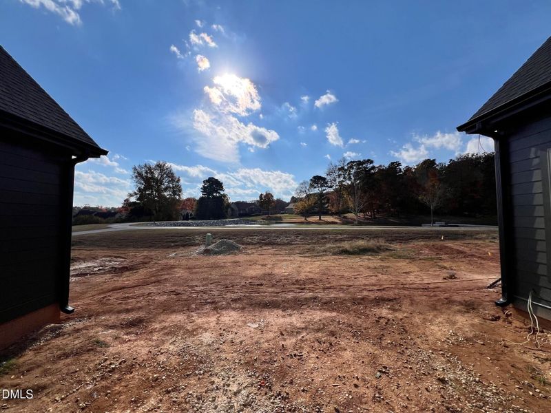 rear views rear views