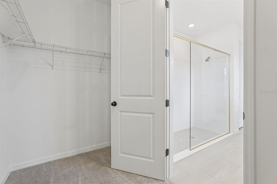 Spacious, unfurnished interior of a new home in Weslyn Park Single Family, St. Cloud (Image 41).