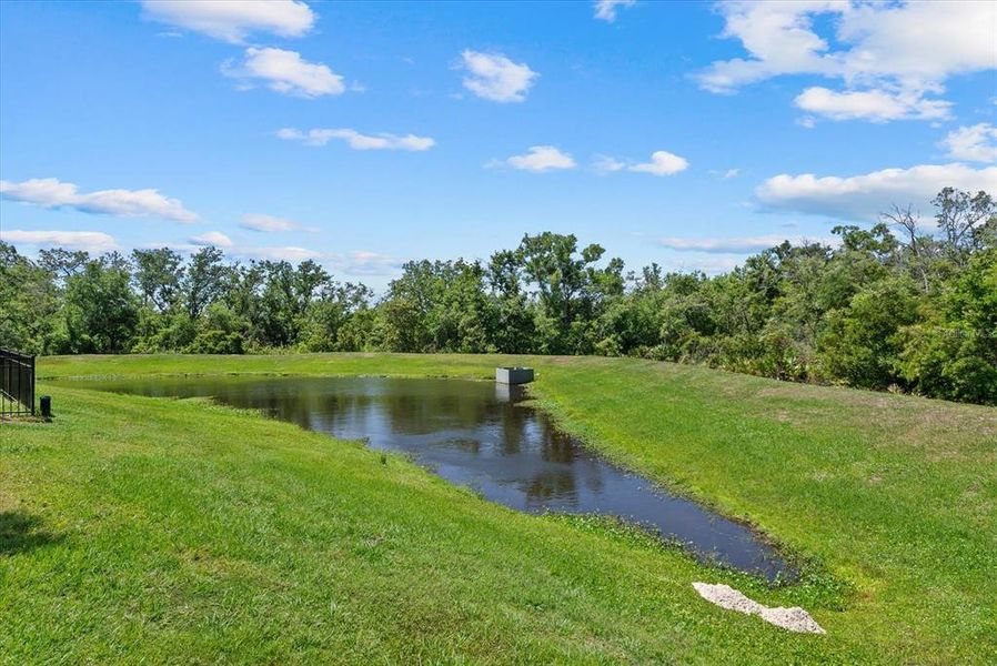 Natural landscape and outdoor views near  in Bradenton (Image 42).