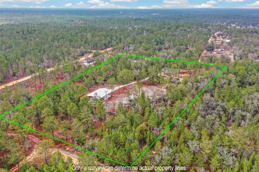 Site preparation for new homesites in , Interlachen (Image 43).