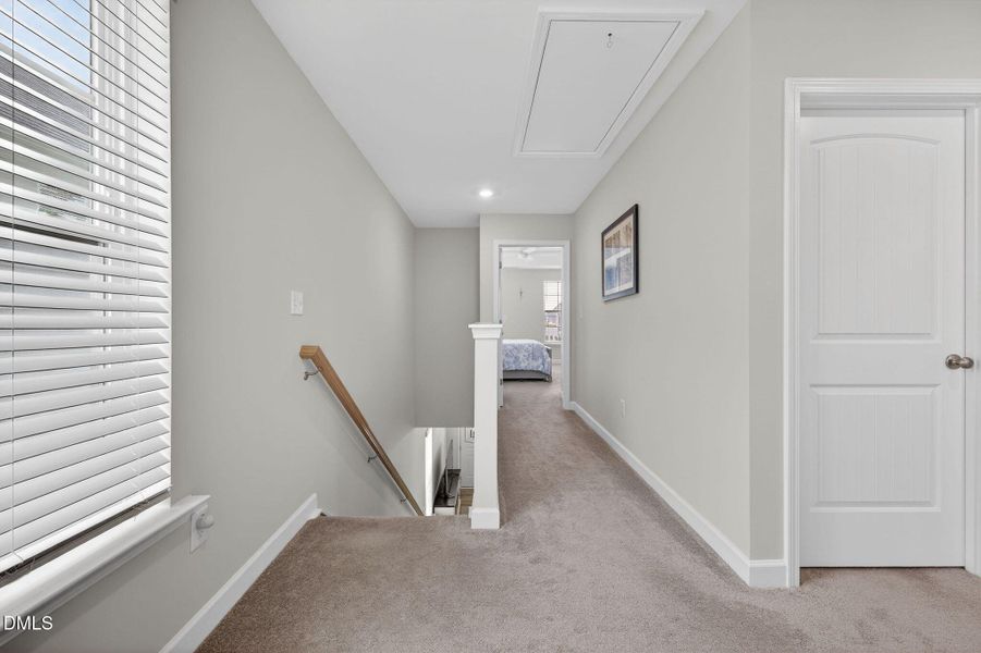 52_20-66-blue-iris-stairs