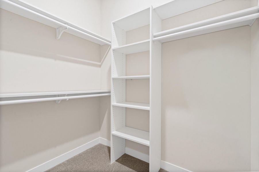 Walk-in closet featuring built-in shelving, white hanging rods, white trim, and neutral-toned carpeting Walk-in closet featuring built-in shelving, white hanging rods, white trim, and neutral-toned carpeting