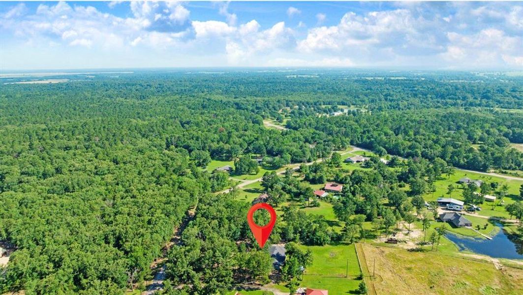 Natural landscape and outdoor views near  in Powderly (Image 19).