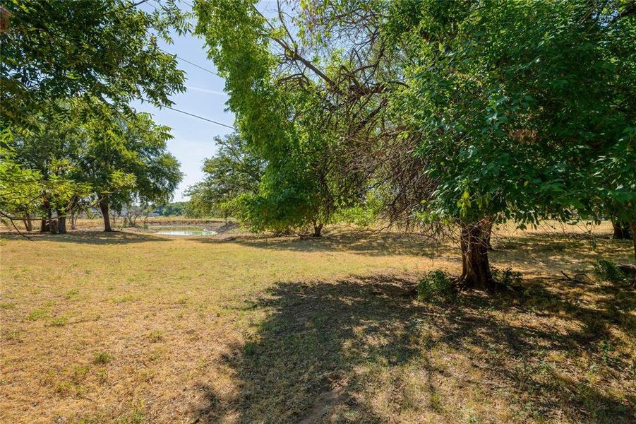 Treed area and Tank