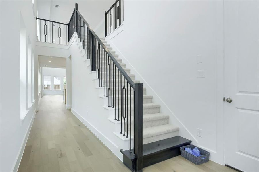 Carpeted staircase with black iron balusters and a white stringer