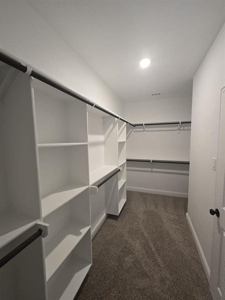 Walk in closet with dark carpet