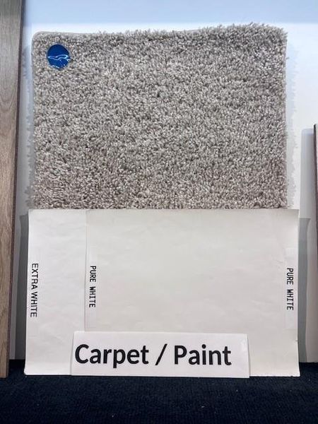 Carpet & Paint