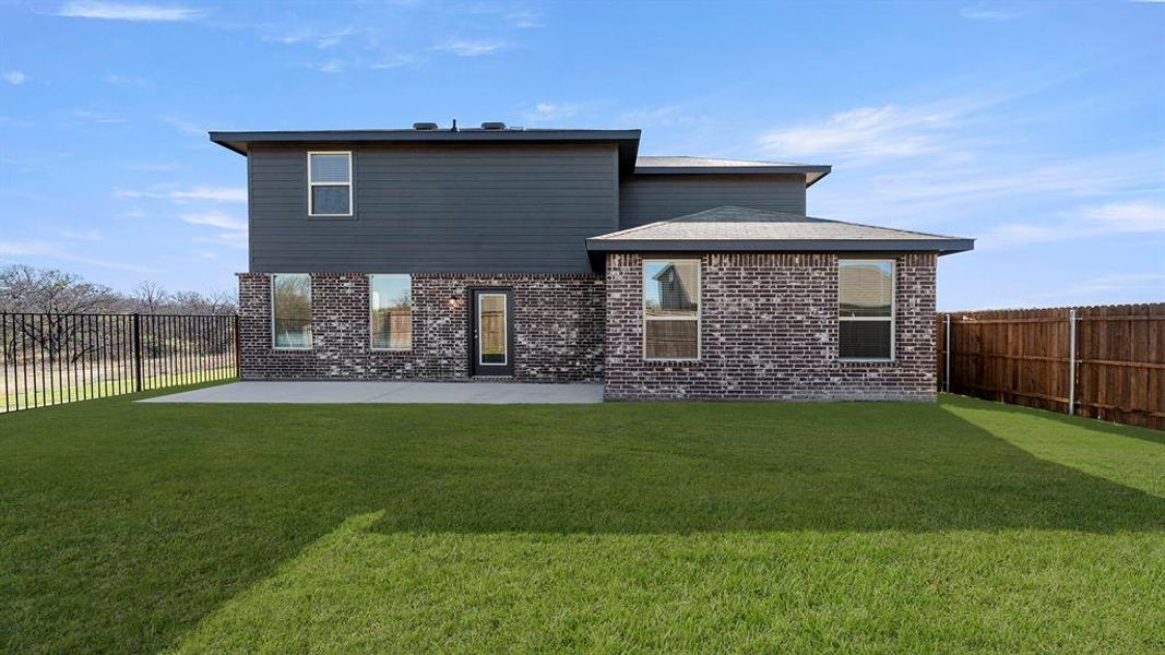 26. 10904 Cacao - Back