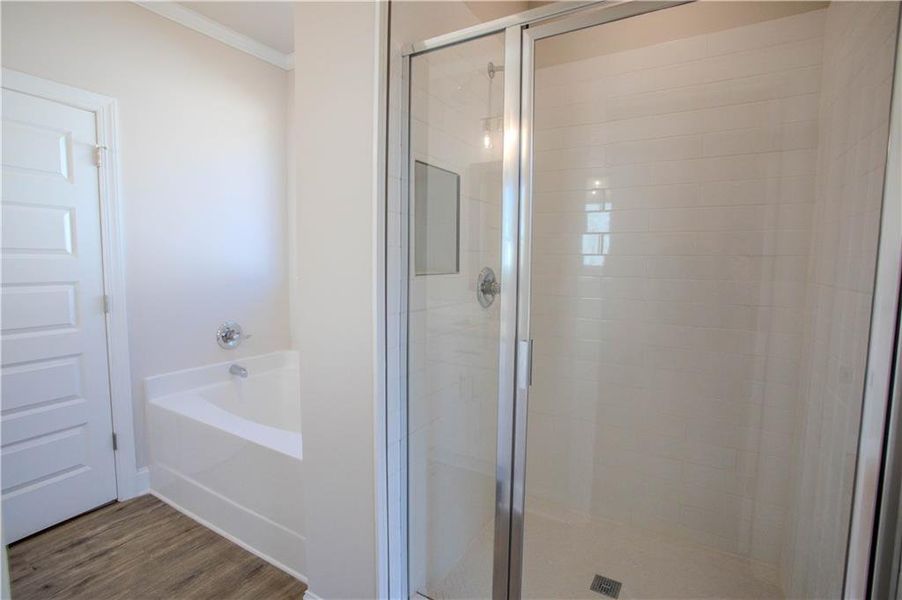 Furnished interior view inside a new home in , Villa Rica (Image 11). Furnished interior view inside a new home in , Villa Rica (Image 11).