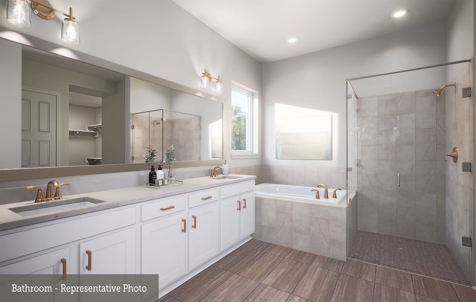 Owner's Bath