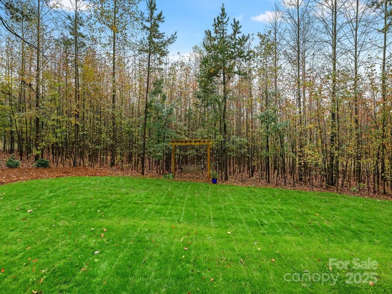 Natural landscape and outdoor views near Estates at Arlington Woods in Mint Hill (Image 30).