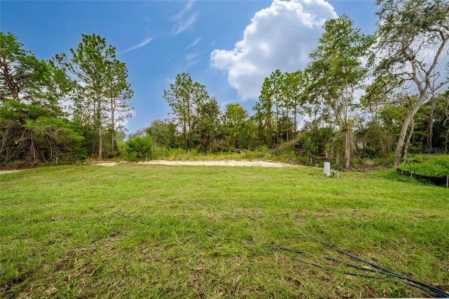 Natural landscape and outdoor views near  in Ocala (Image 44).