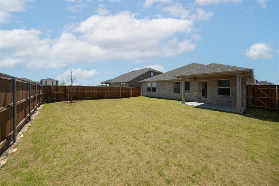 Backyard